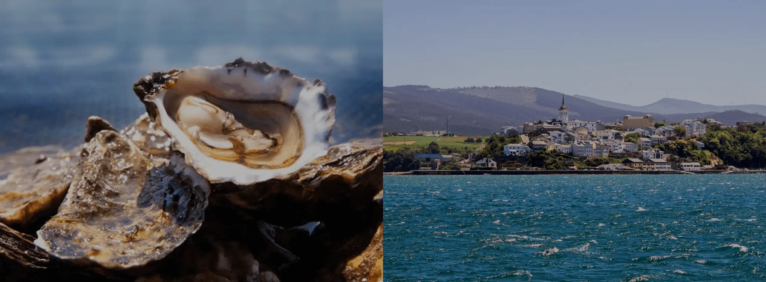 CASAS DAS FIGUEIRAS - Alquiler casas vacacionales